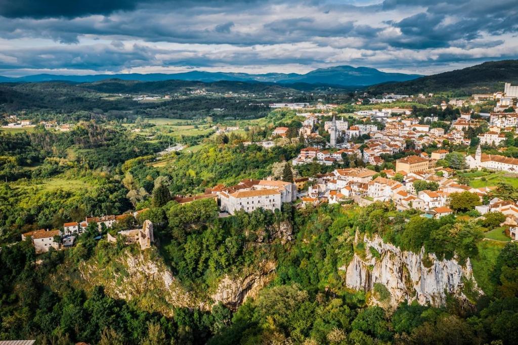 Villa Patrick-Luxury Stone House In The Center Of Istria パジン エクステリア 写真